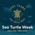 JOIN IN SEA TURTLE WEEK 2022