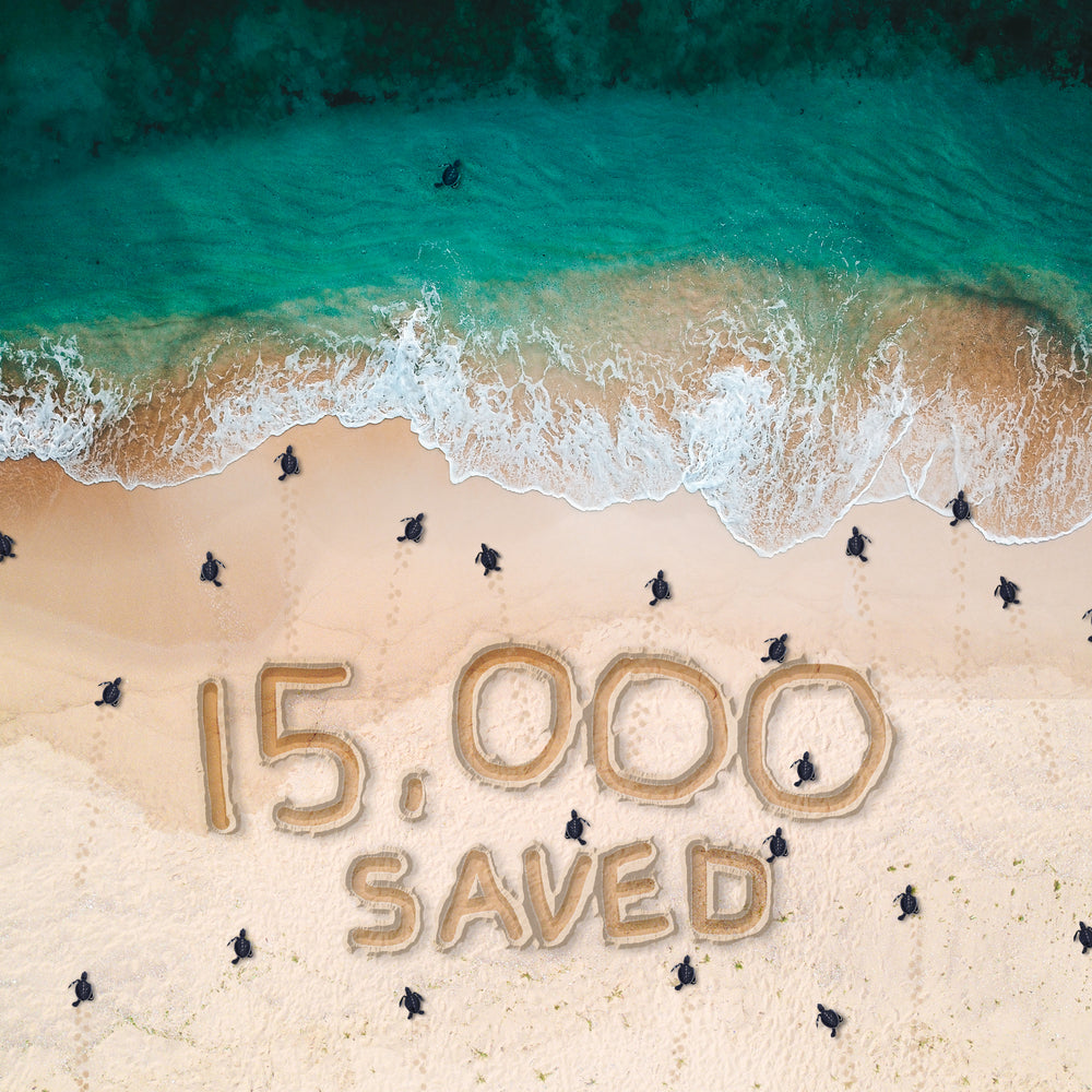 THANK YOU FOR HELPING US SAVE 15,000 ENDANGERED SEA TURTLES