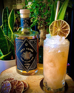 Turtles & Tiki - a Lost Years Signature Serve