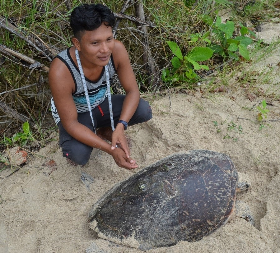PROJECT SPOTLIGHT: PROTECTING SEA TURTLES IN PANAMA